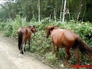 Hd Pissing Next To Pony In Jungle